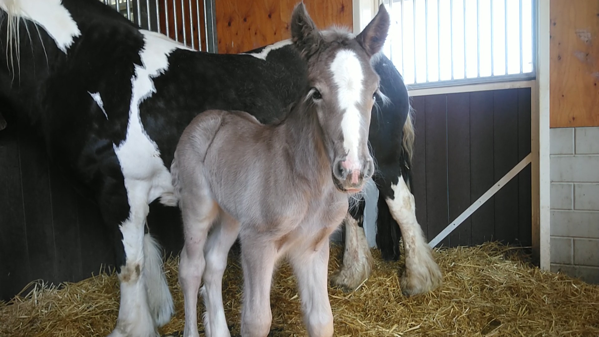 Lees meer over het artikel 12. Focus