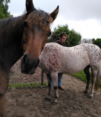 Lees meer over het artikel 5. Wat vond je moeilijk?