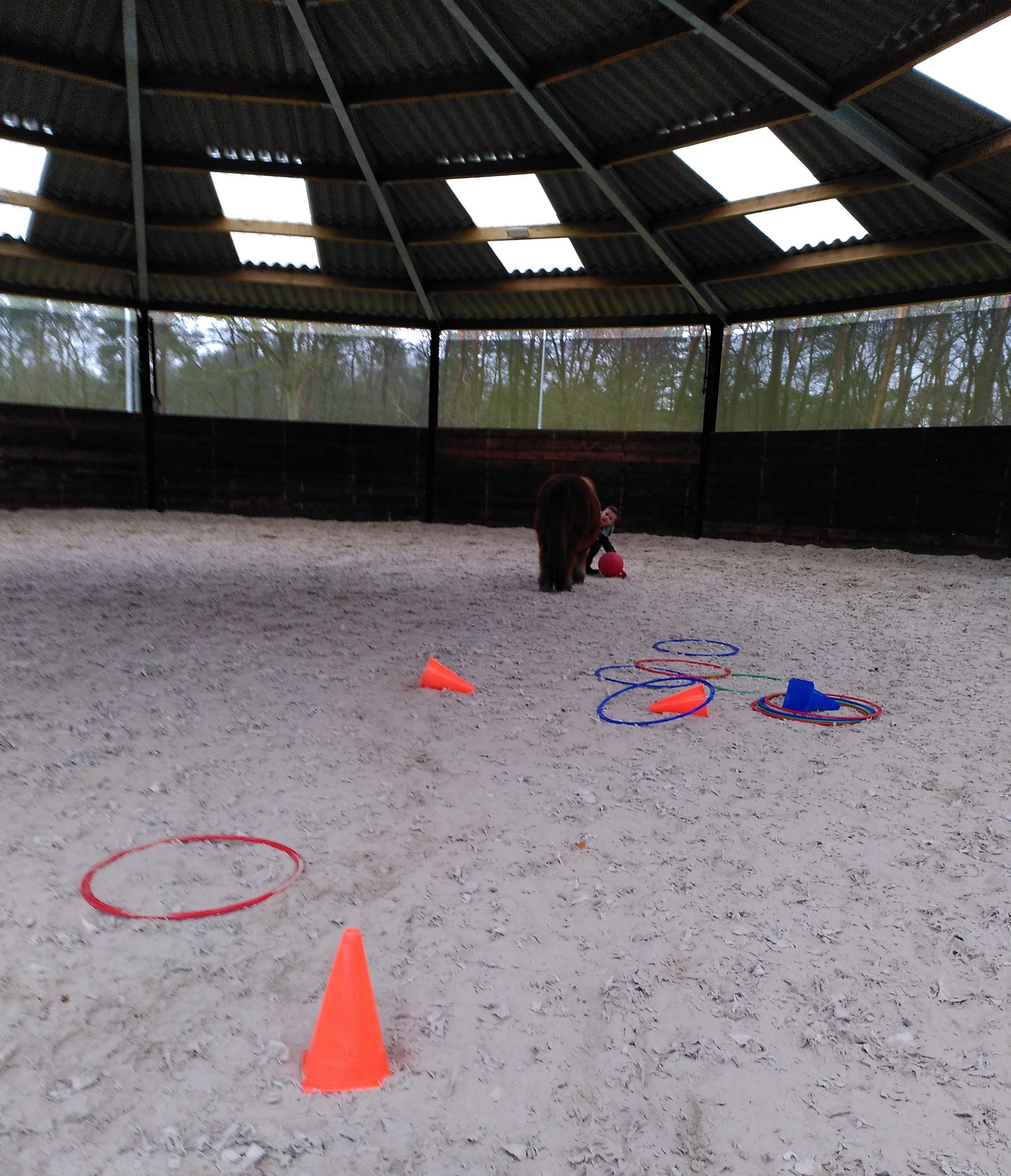 Lees meer over het artikel 13. leren in je element